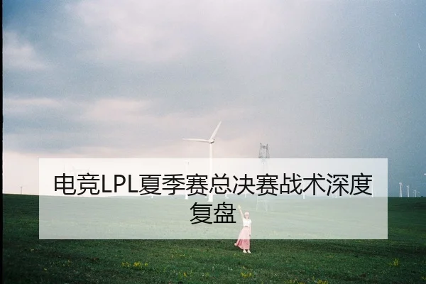 电竞LPL夏季赛总决赛战术深度复盘